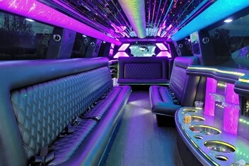Herriman Limo Interior